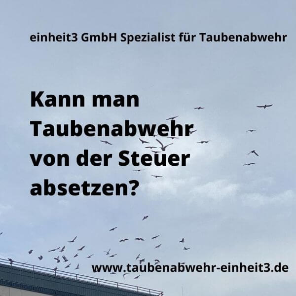 You are currently viewing Kann Taubenabwehr von der Steuer abgesetzt werden?